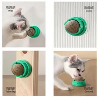Catnip Cat Ball Toy Scratchers 4