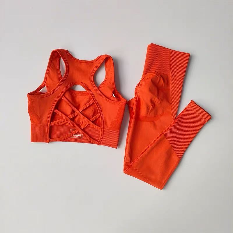  2PCS Sports Bra Women's Set Professional Fitness Tank Top Bra Shockproof Running Leggings Yoga Suit Beautiful Back Bra Clothing 