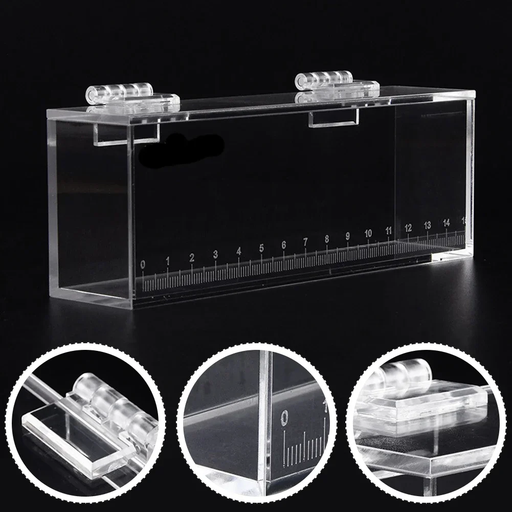 1PCS Transparent Acrylic Fish Viewing Box High Clear Portable With Scale Crystal Fish Box Desktop Ornaments Party Home Decor