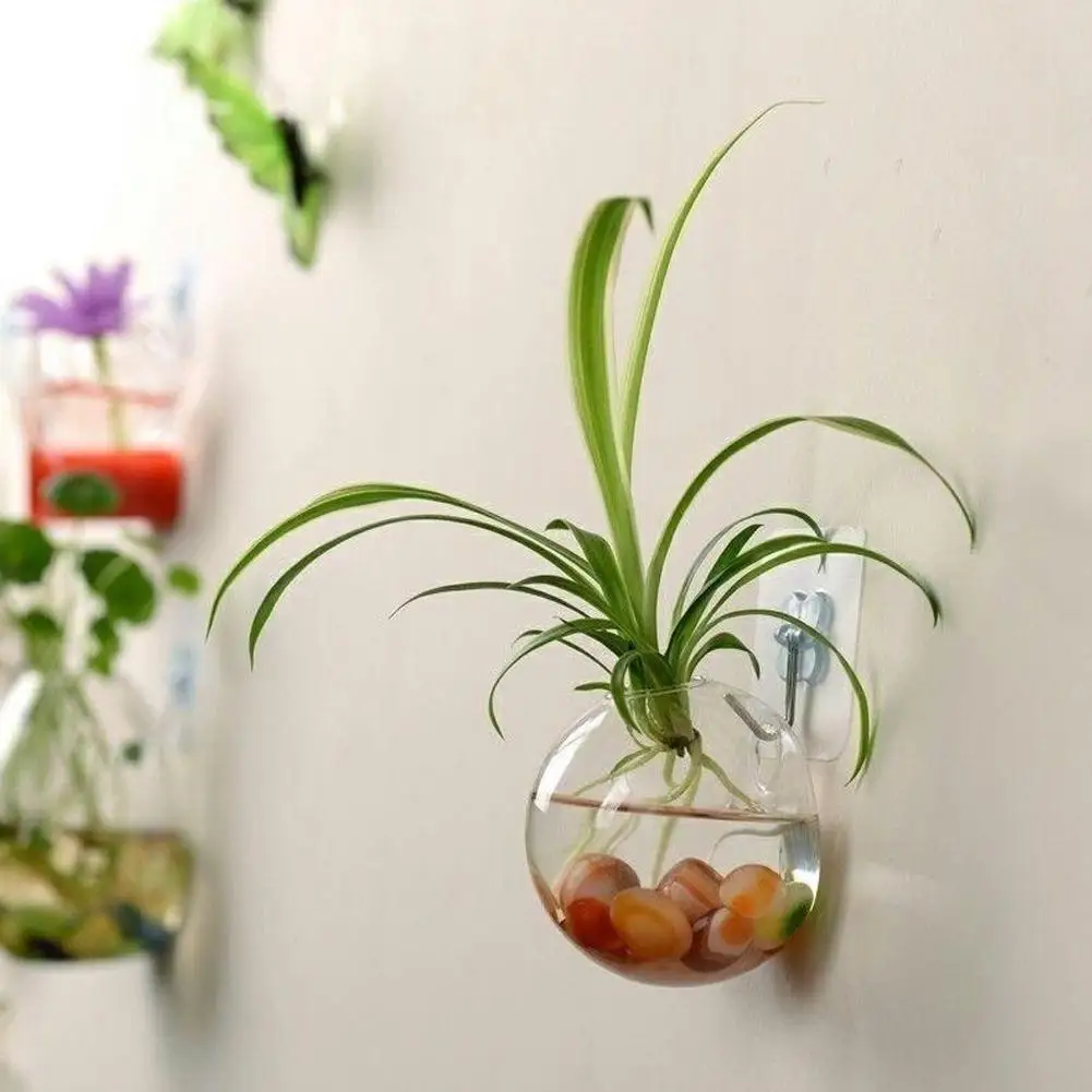 Wall-Mounted Glass Vase, Wall Hanging Hydroponic Glass Flowerpot, Transparent Half Globe Shape Plant Container, Fish Tank