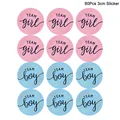 60pcs paper sticker