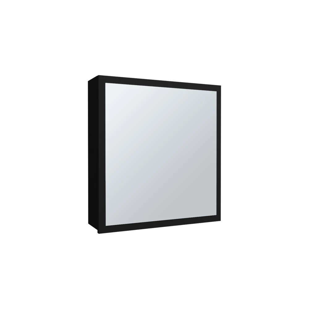 Duma 21.1" H x 19.7" W Mirror Medicine Cabinet, One door with Four interior Shelves for Bathroom, Kitchen Black 3