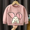 Tigger Disney Children Sweater Thin Sweatshirt Long Sleeve Crewneck Hoodies Pullover Spring Clothing Kids Tops Cartoon Winnie 4