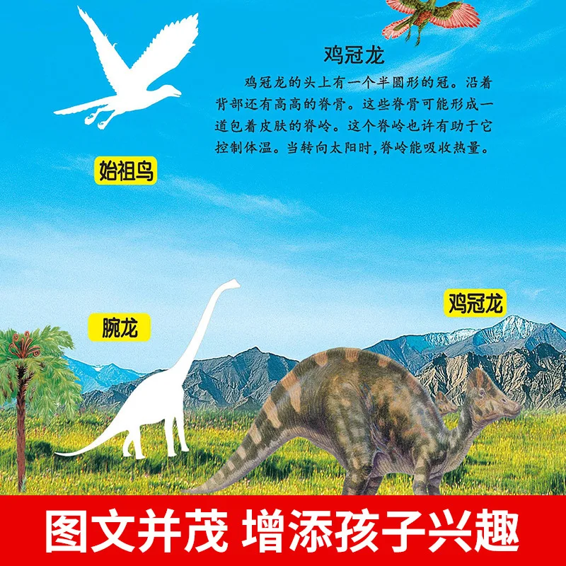 매직 스티커, 공룡 스티커, 8 권, 베이비 포커스, 스티커, 퍼즐, 두뇌 장난감, 게임북