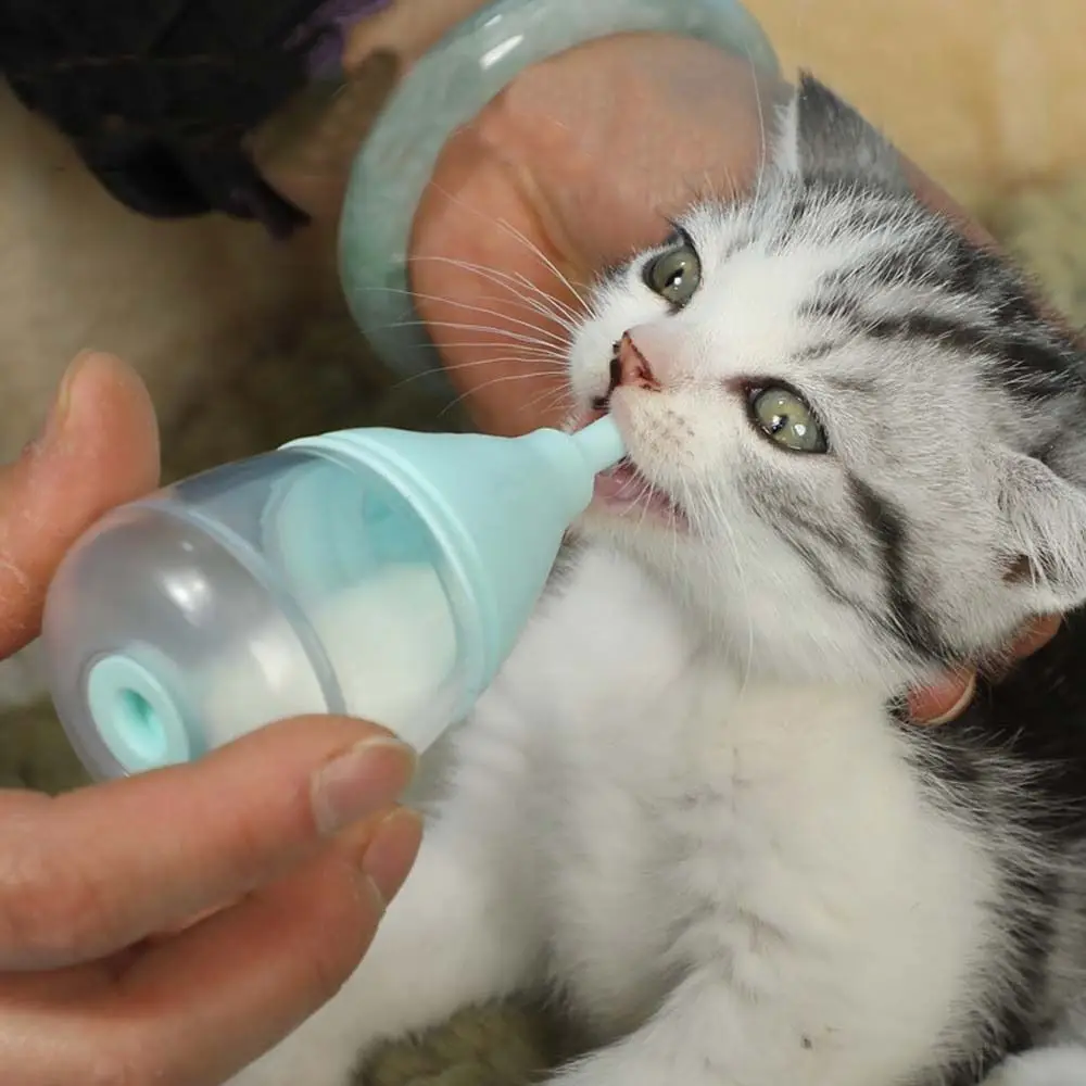 

40ml Pet Nursing Bottle Anti-Choking Detachable Lid Feeding Bottle with Replaceable Nipples PP+Silicone Kitten Nursing Bottles