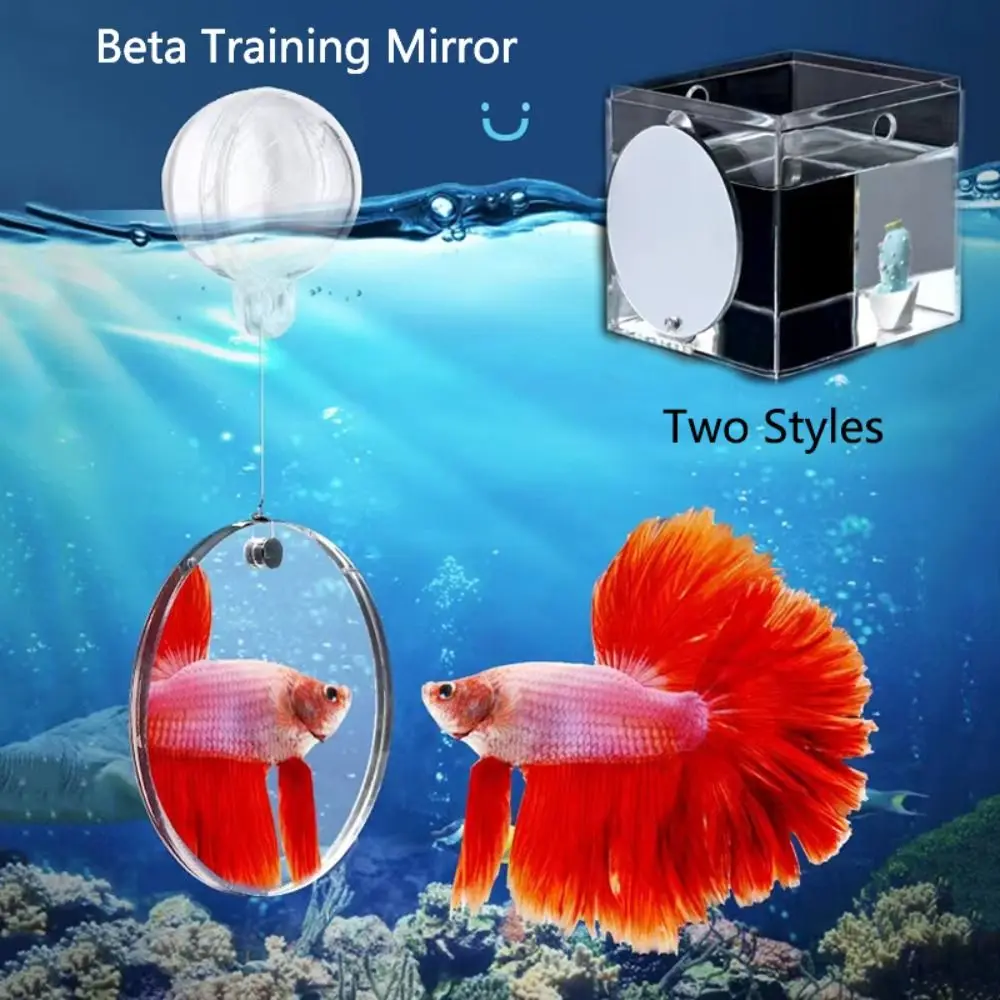 Water Plant Landscape Fish Tank Ornament 4/5/6CM Double-sided Acrylic Betta Training Mirror