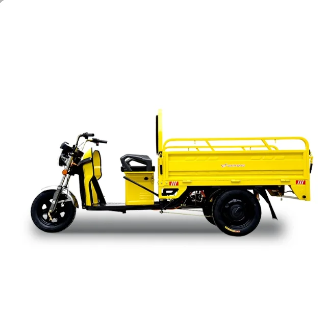 Electric Cargo Tricycle with Multiple Color Options in stock