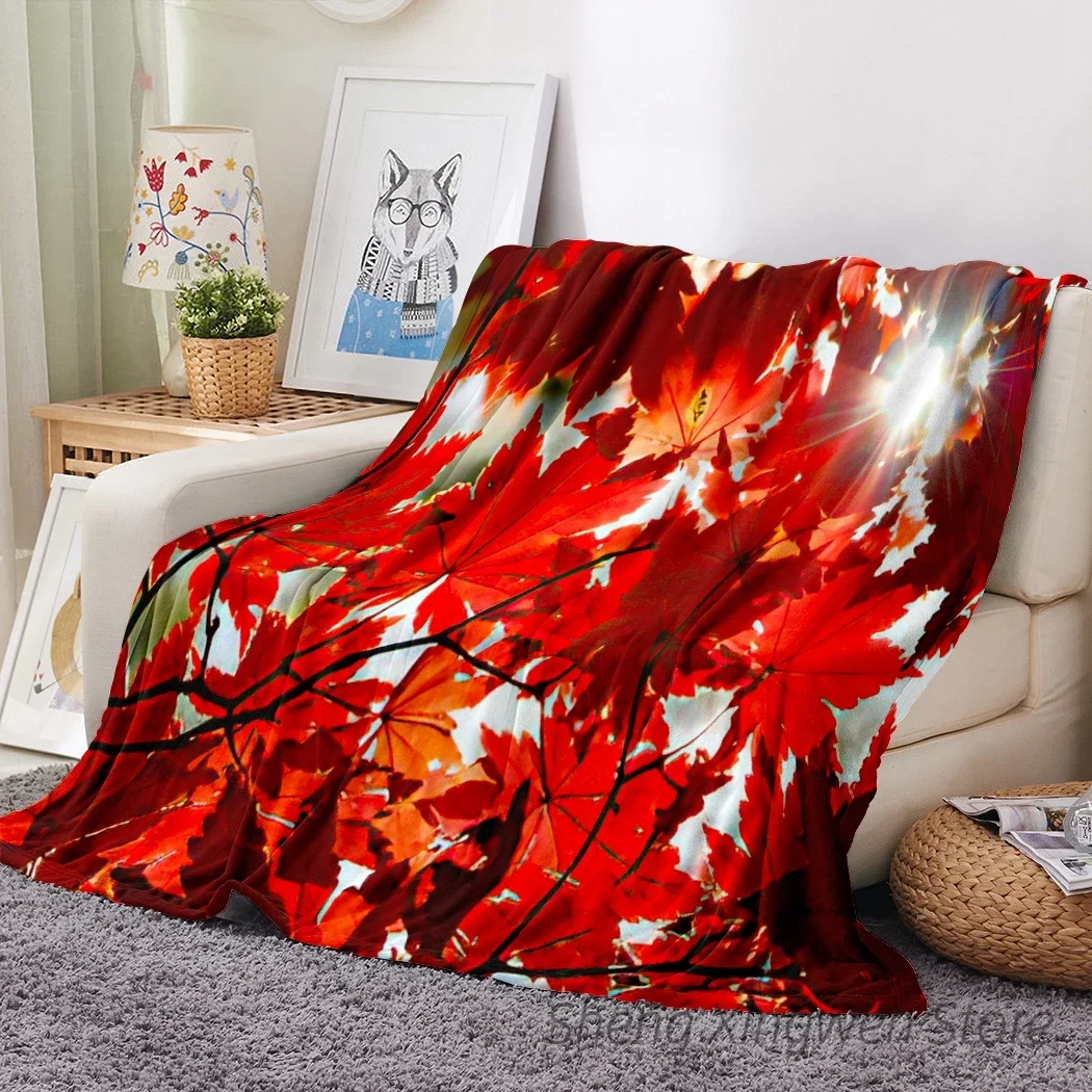 ���� ��ǳ�� �ö��� ������ ��� ���� ������ �ƴ��� ��ũ �� ��ǳ���� �ε巯�� ���� ħ�� ���, �غ� ��ǳ�� �ҷ��� ����