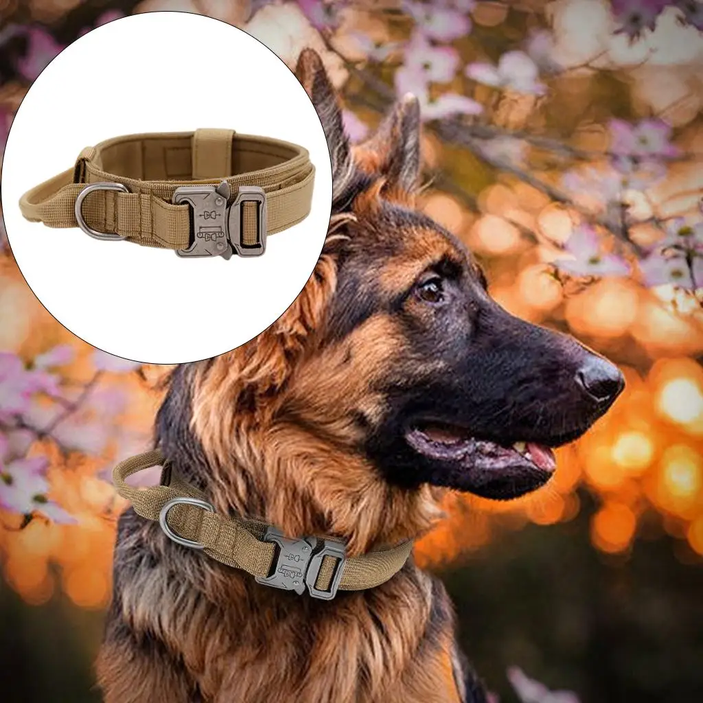 Breathable Nylon Dog Collar Outdoor Training Leash Kit Pet Accessories for Medium and Large Breed Dogs
