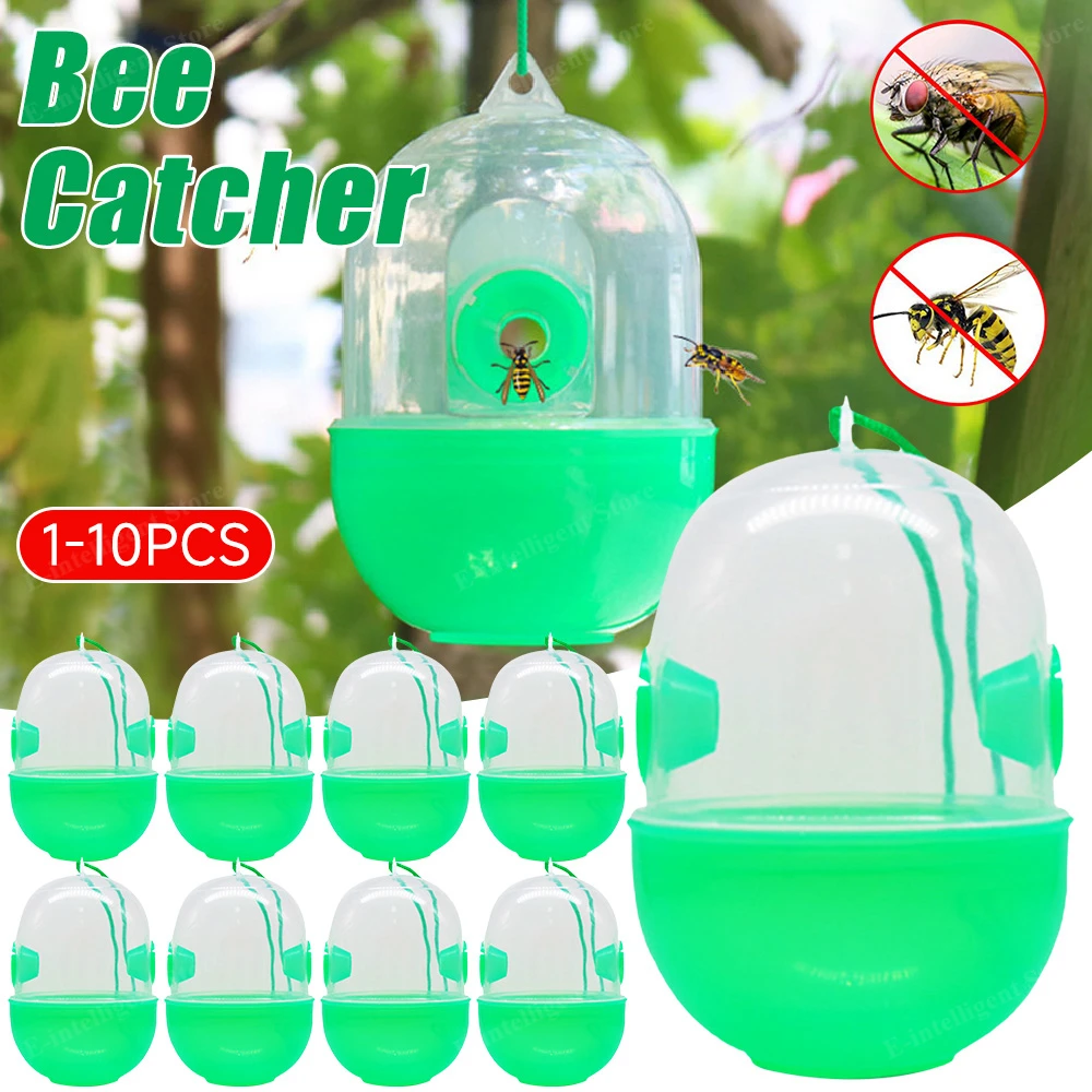 https://ae01.alicdn.com/kf/S5449f1229e584380aa159e21a12c3afeV/1-8PCS-Wasp-Hanging-Fly-Trap-Reusable-Wasp-Insect-Traps-Outdoor-Beekeeping-Catcher-Cage-Orchard-Farm.jpg