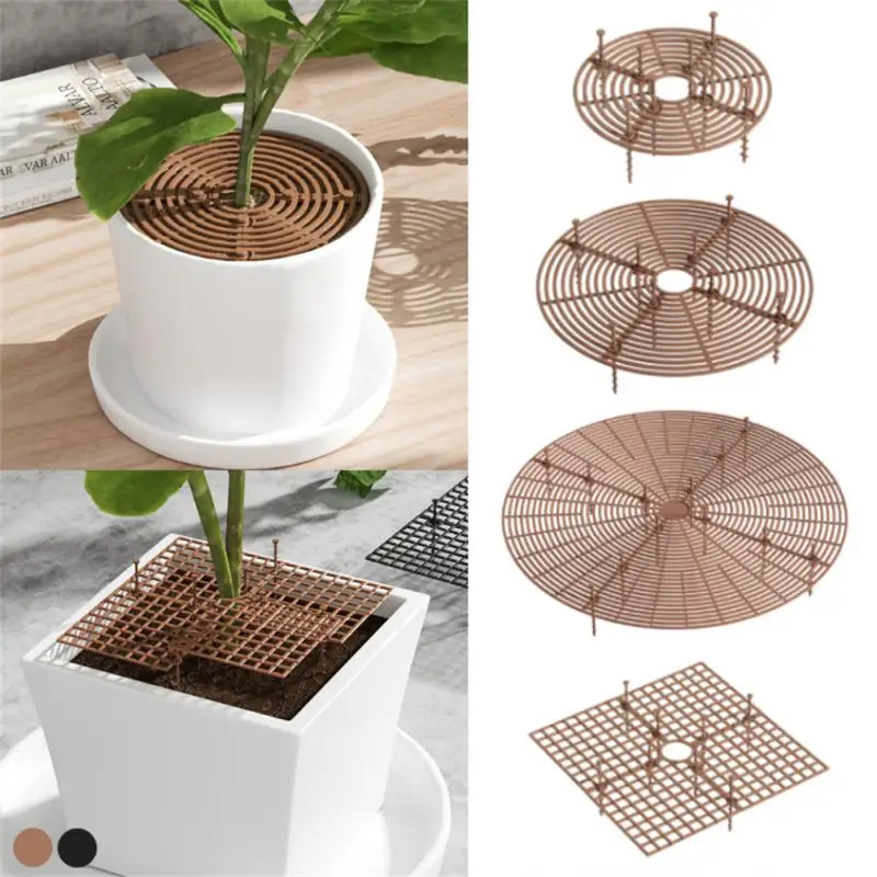 Plant Pot Soil Guard Nails Plant Pot Grid Flower Cover Baby Safety Mouse Protector Repel Cats Garden Household plant pot grid