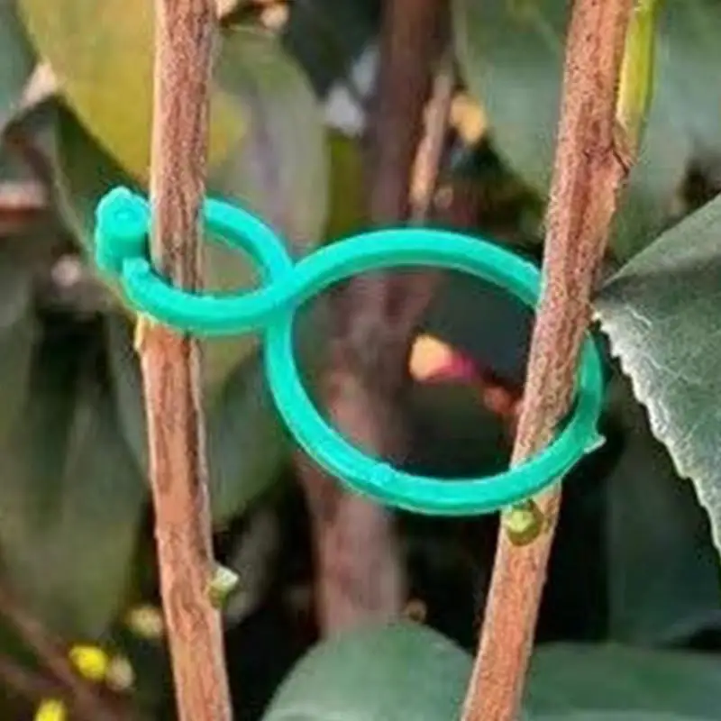 50/100pcs Vine holder Clips 8-Shaped buckle Plant Holder Cucumber vine stand Clips for Climbing Plants Stem support garden tool