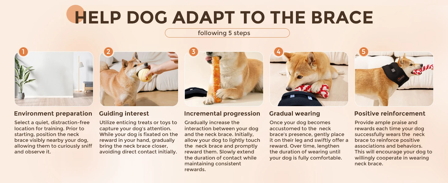 dog neck brace