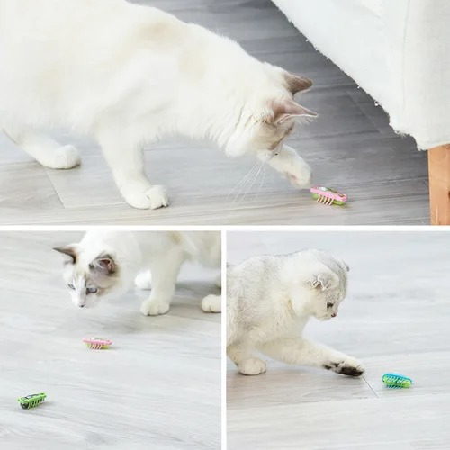 재미있는 전기 벌레 고양이 장난감 자동 탈출 미니 로봇 벌레 진동 곤충 장난감 고양이 배터리 조작 바퀴벌레 무당벌레 5
