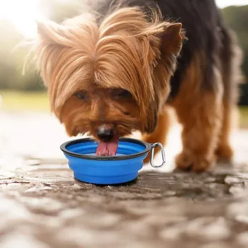 Pet Dog Bowl Silicone Folding Folding Water Water Bowl Portable Outdoor Travel Puppy Food Container Feeder Pet supplies 5