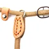 P Chain Dog Leash Slip Collar pet Walking Leads Nylon Dog Mountain Climbing Rope puppy pet Traction For small Medium Large Dogs 4