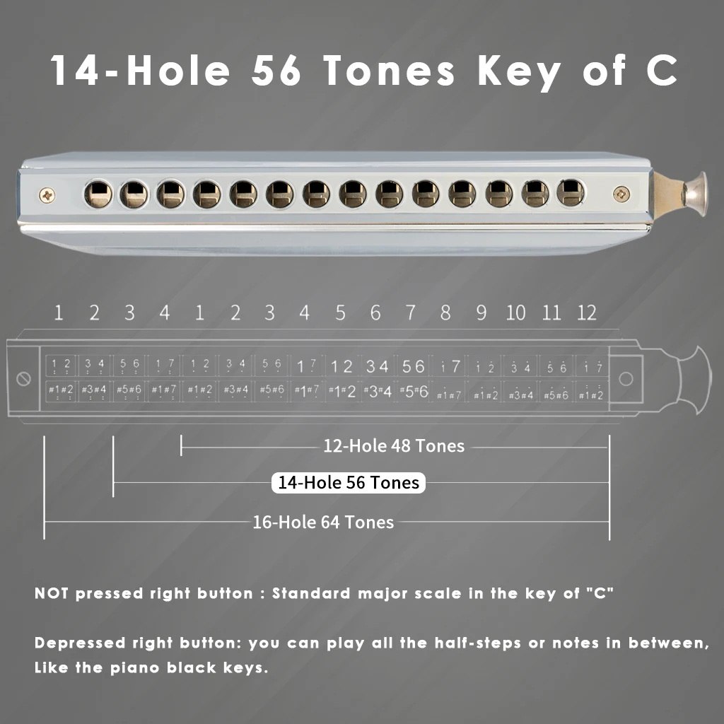 NAOMI Swan Chromatic Harmonica 10/14/16 Holes 40/56/64 Tone Stainless Steel Cover With Precision Engineered Sliding For Beginner
