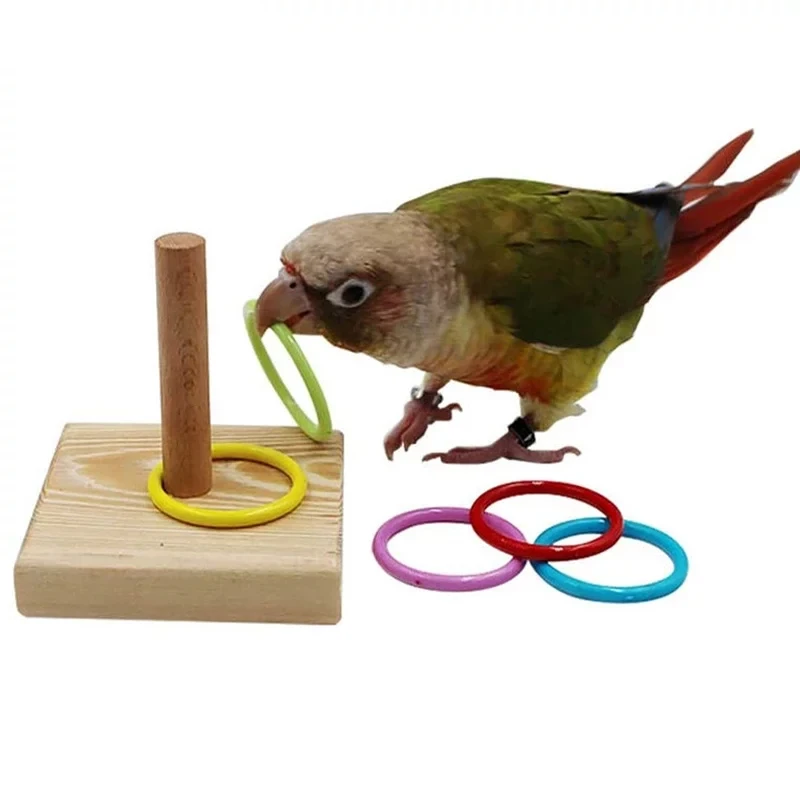 

Bird Training Toys Set Rings Intelligence Training Chew Puzzle Toy Bird Training Toys Set Wooden Block Toys Bird Supplies