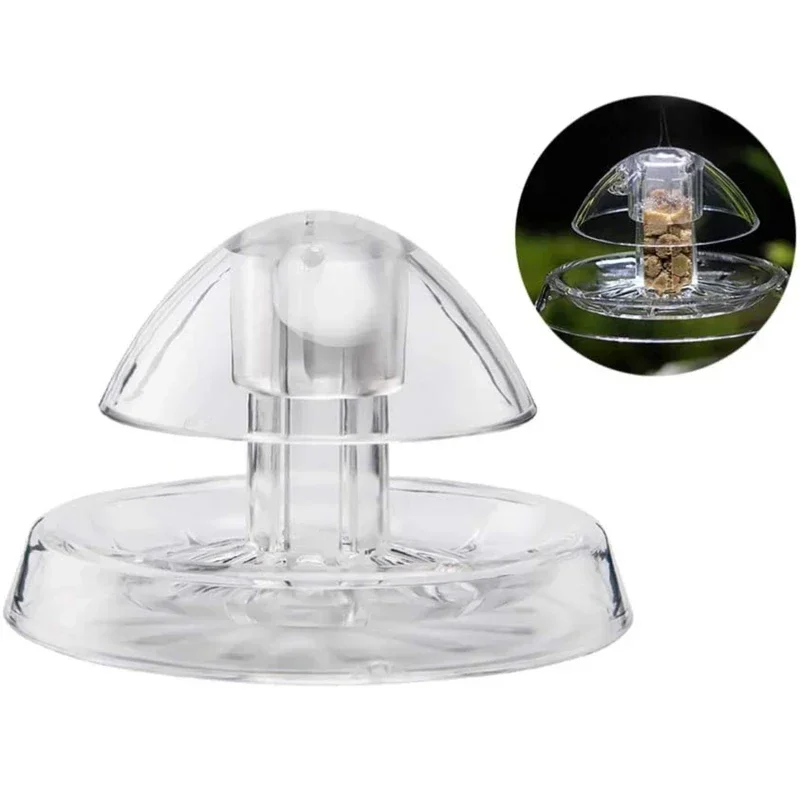 Aquarium Snail & Pest Trap Plastic Catch Box for Planaria, Leeches & Algae Clean-Up