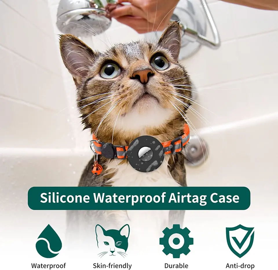 S546116c4e64c4b2cacb5891ee84e9