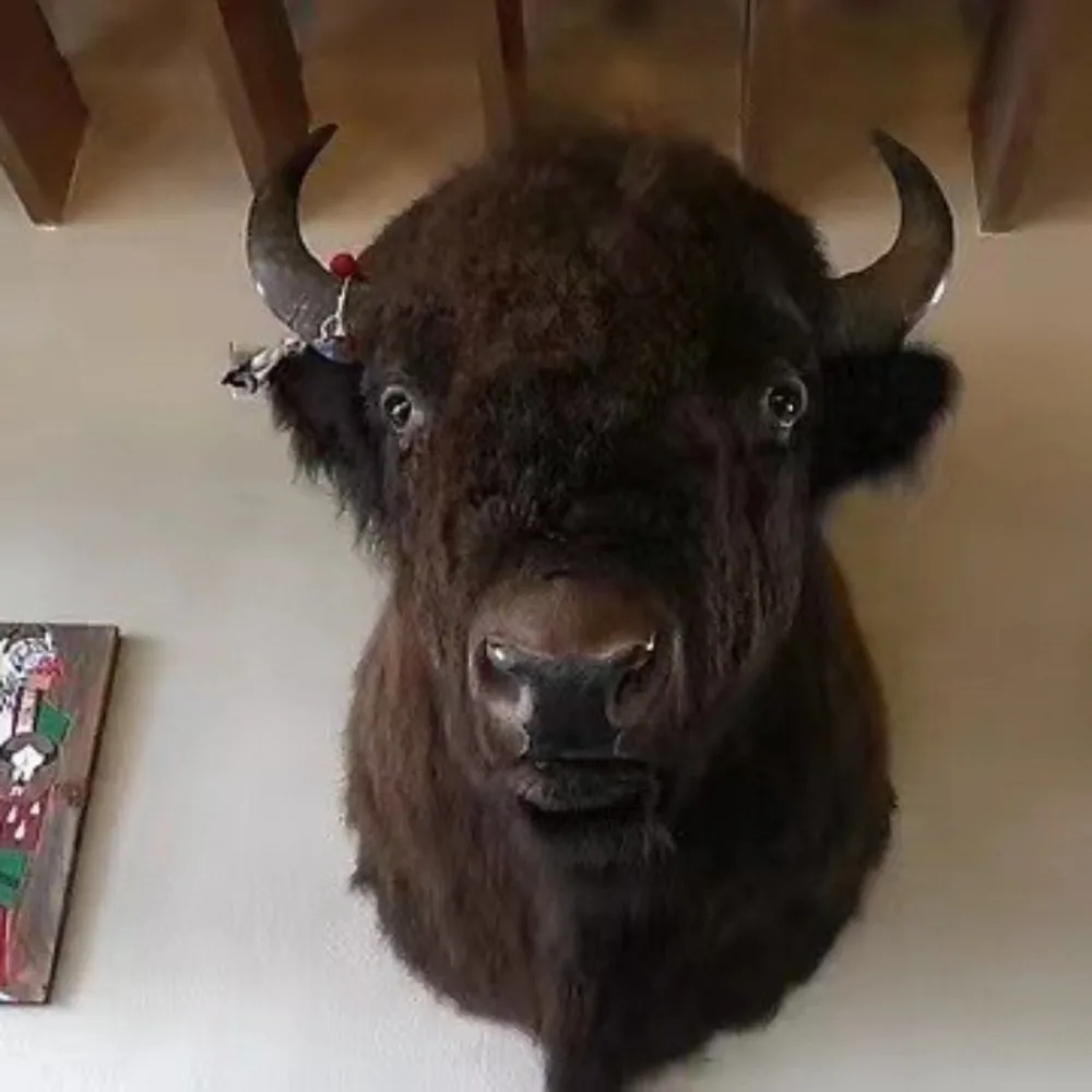 Store Home Products Feedback