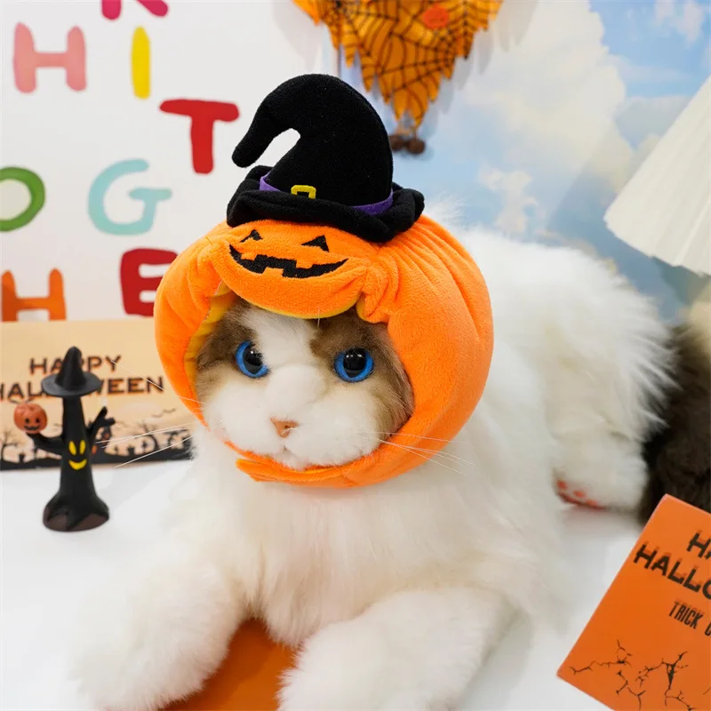 Chapeau d'halloween pour chat et chien citrouille en peluche_voghion.com