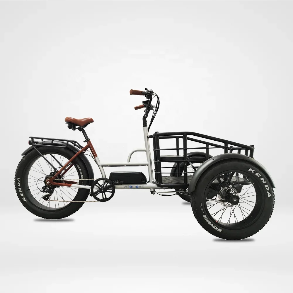 Großhändler Erwachsene 750 W/500 W 3 Rad Vorderrad Fracht Elektro China Elektro-Dreirad Fat Tire Elektro-Dreirad 3