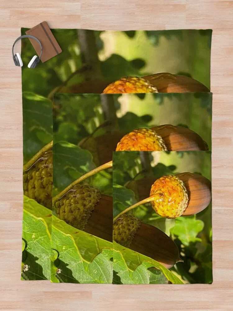 ������ ���丮 ������ ���, ���Ŀ� ���� ���� ���