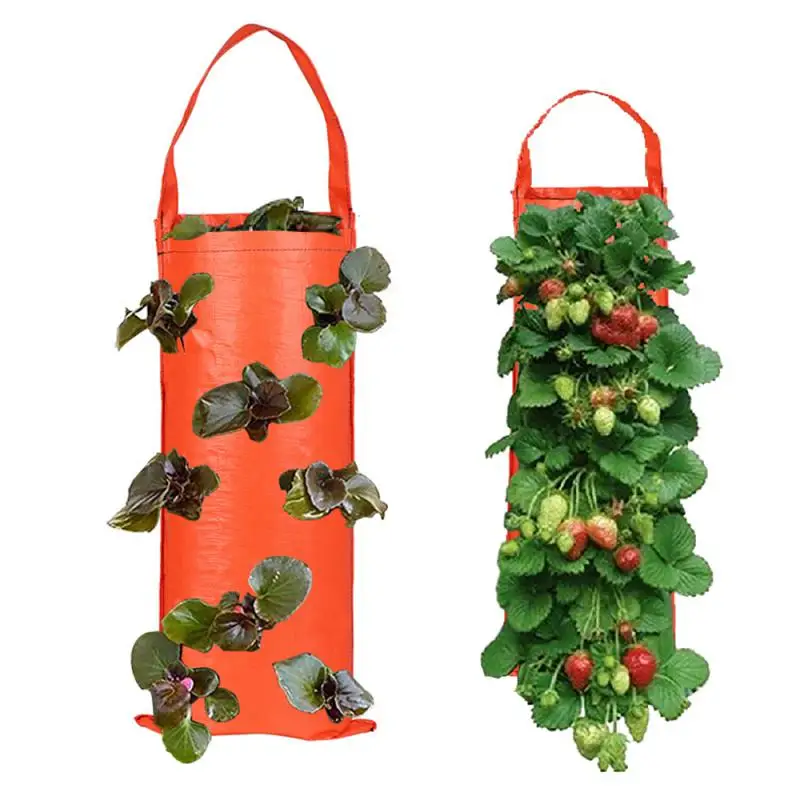 

4/6/8/10 Holes Wall Hanging Grow Bag Strawberry Herb Nursery Pot PE Garden Flower Vegetable Growing Container Balcony Decoration