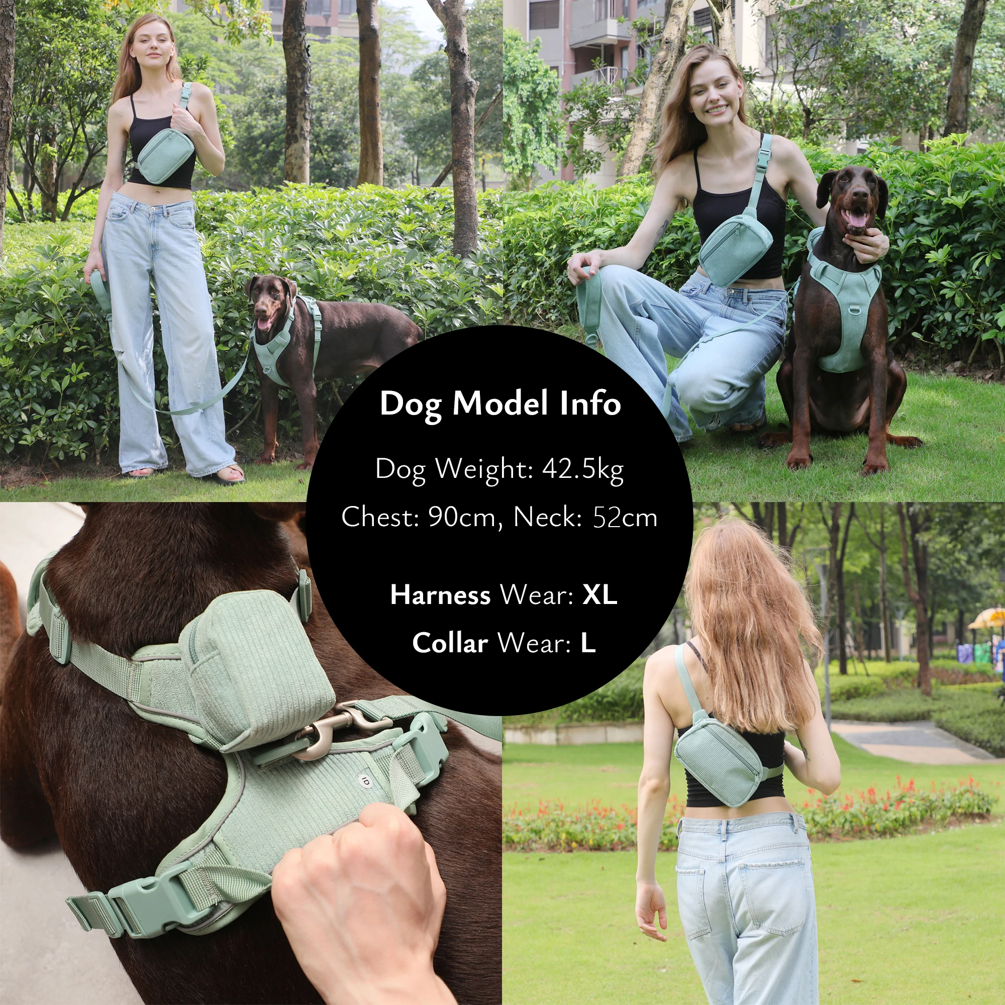 Personalized Dog Collar Engraved Dog Harness Light Weight Corduroy Designer Collar and Leash Set Padded Fully Adjustable
