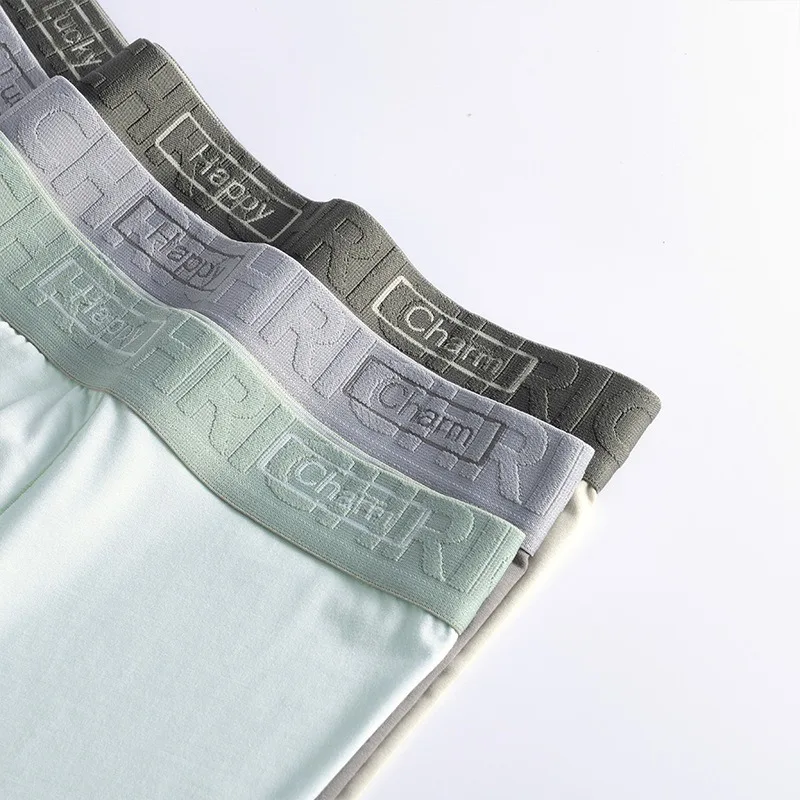 2024 80s Lenzing Modal men's underwear cotton comfortable boxer briefs boys boxer shorts men's