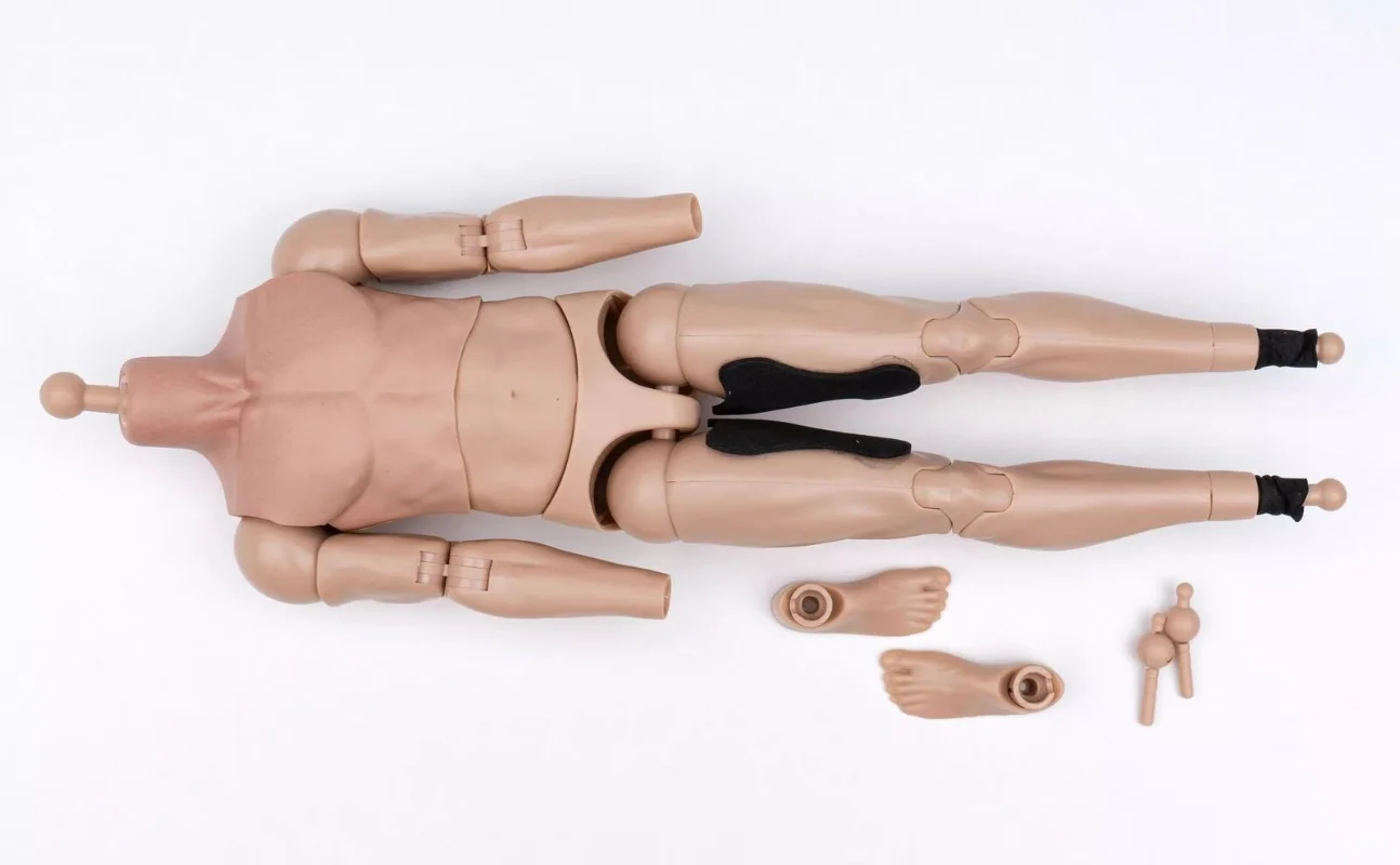 

DAMTOYS 78095 1/6 Body Model for 12'' Male Soldier