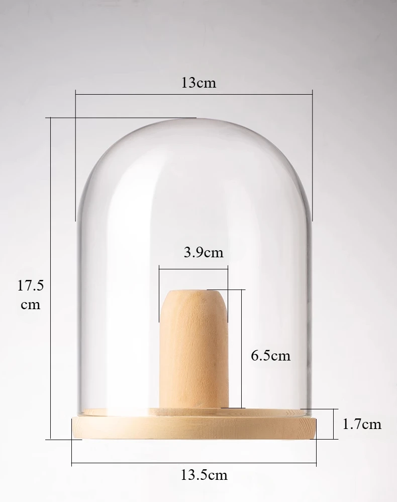 Cake Filter Paper Storage Box Glass Solid Wood Coffee Filter Paper Storage Rack Dustproof Storage 6
