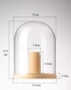 Cake Filter Paper Storage Box Glass Solid Wood Coffee Filter Paper Storage Rack Dustproof Storage 6