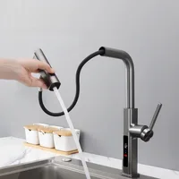 ก๊อกน้ําห้องครัวร้อนและเย็นจอแสดงผลดิจิตอลดึงออกหมุนได้มัลติฟังก์ชั่ผักอ่างล้างหน้าก๊อกน้ํา 1