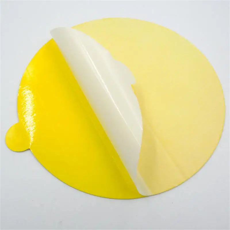 Adesivo Per Trappola Per Uso Domestico A Lunga Durata Garden Fly Insect Killer Latching Paste Double Layer Insect Dual Sided Catcher Antipioggia