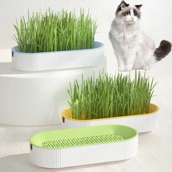 Hydroponic Planting Pot 1