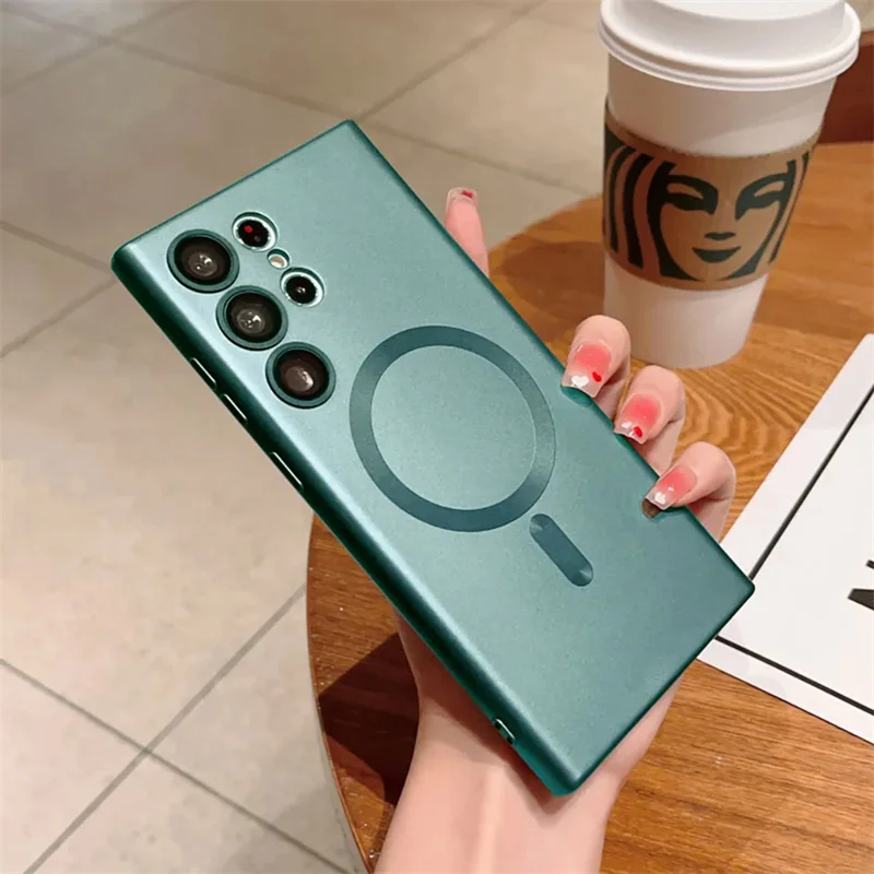 mglista sosnowa zieleń