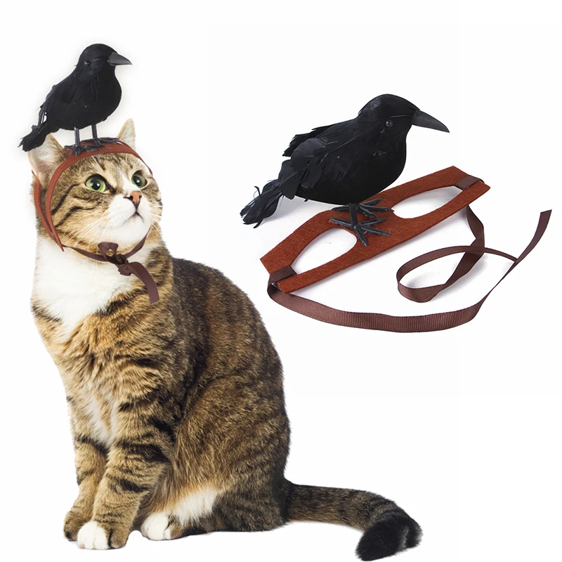 Fantasie Zelden Onderdrukker Leuke Zwarte Kraai Ontwerp Pet Hoofdtooi Nieuwe Creatieve Grappige Vilt  Feather Vogels Huisdier Hond Kat Hoeden Hoofdbanden Partij Pet Kleding  levert| | - AliExpress