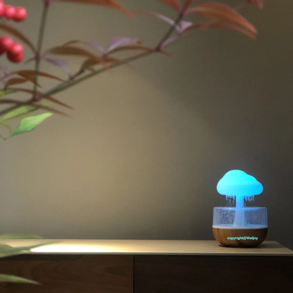 Weljoy Zen Rain Cloud Night Light Aromatherapy Essential Oil Diffuser