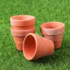 20 Pcs Terracotta Flower Pot Mini Pots Indoor Small Plant Clay for Plants Cactus Office 1