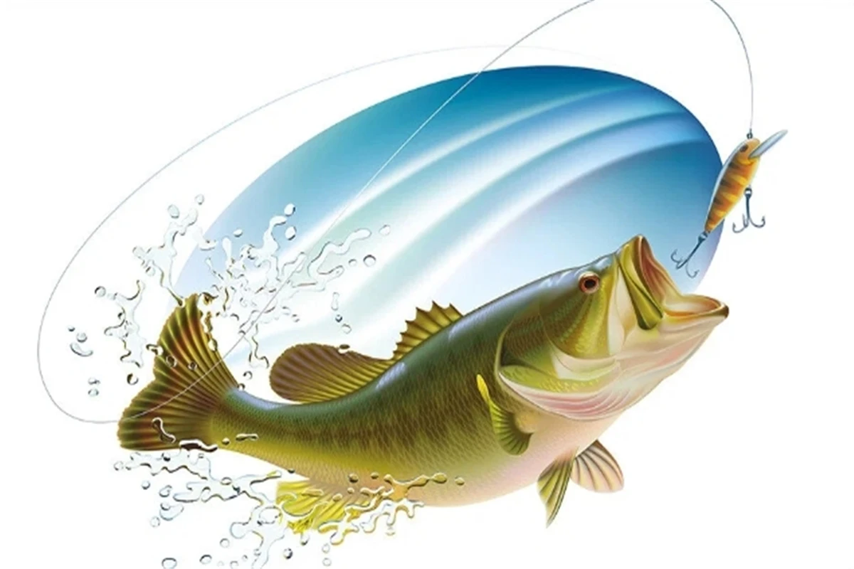 Décorations De Gâteaux Sur Le Thème De La Pêche - Lot De 6 | Bol