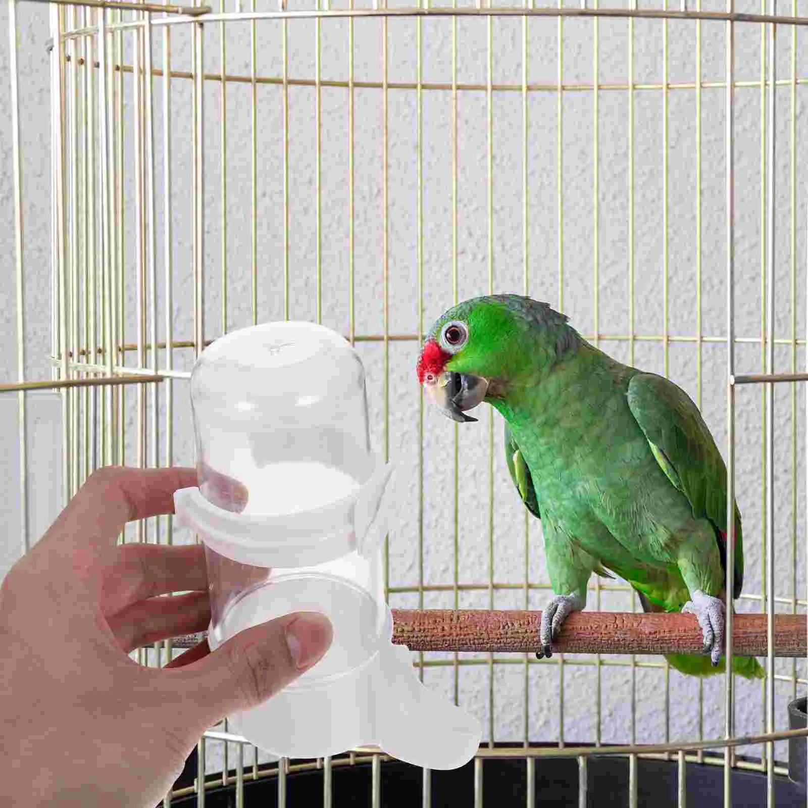 

Pet Bird Water Feeder Parrot Dispenser Hanging Parrots Feeders Cages Drinking Supplies Pigeon Drinker Automatic Container