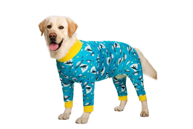 dinosaur-dogs-pajama