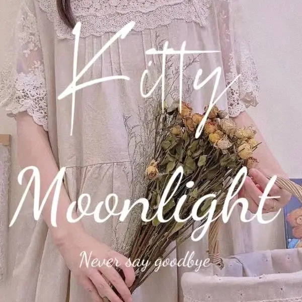 Kitty Moonlight Store
