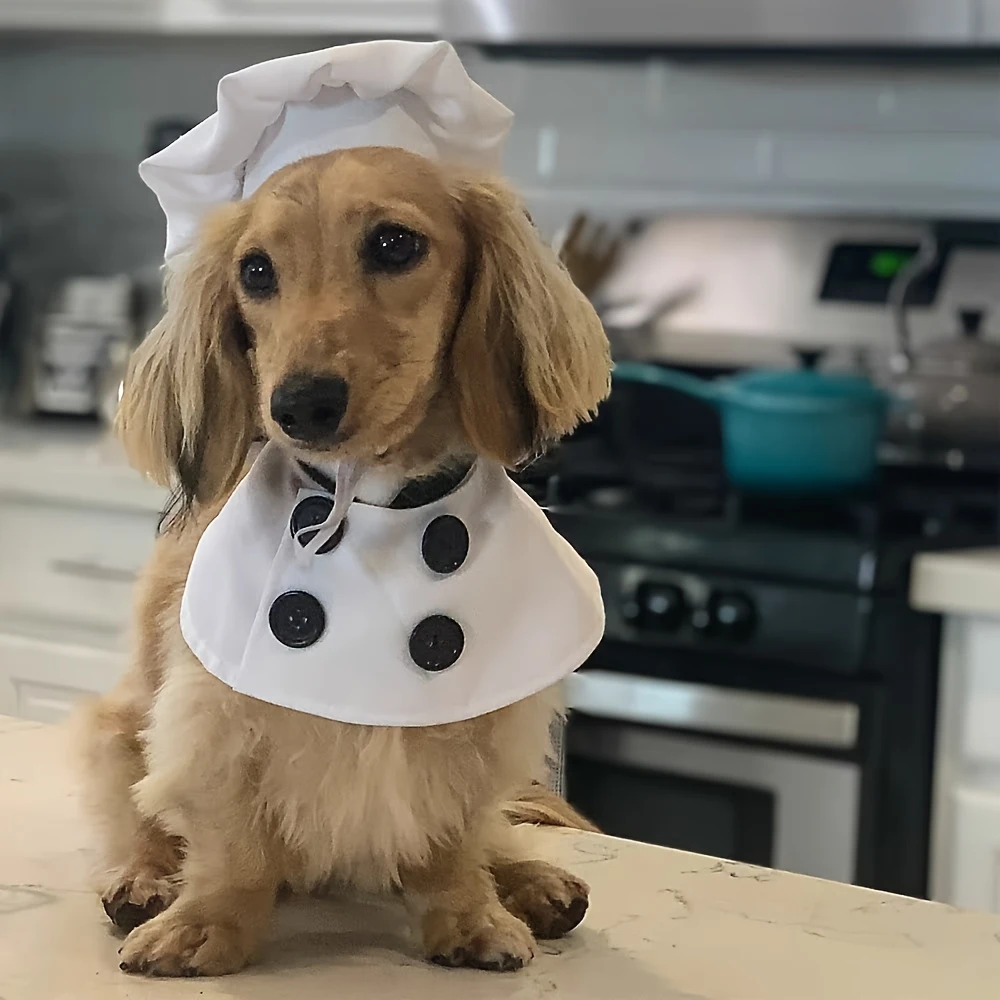 Pet Chef Halloween Costume 5