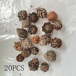 Set of 20 Realistic Artificial Acorn Decorations for Autumn Home and Kitchen Decor (Mini cedar cones)