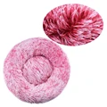 Gradient rose red