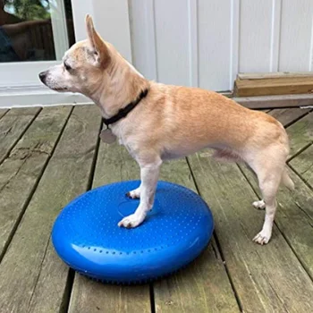 Ausili per l'allenamento dei cani Balance disco volante Fitness Sports Muscle atomium Dog Agility Toy Pet riabilitation Training Products