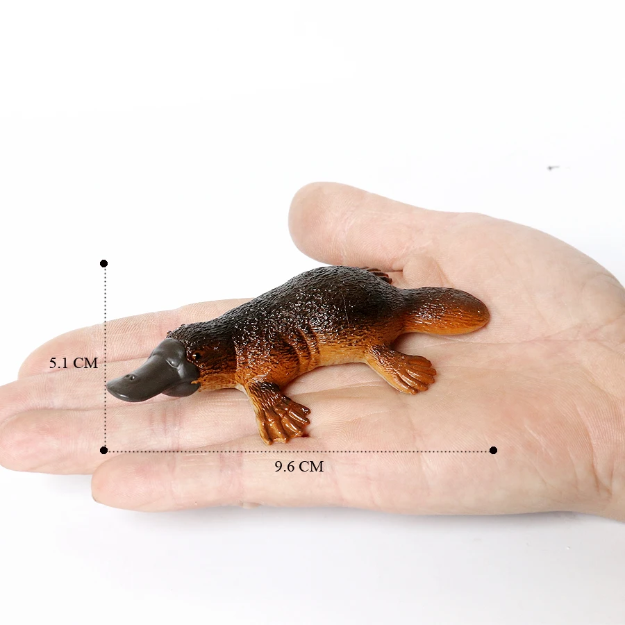 Realistische australische Tierfiguren zum Wildtieren, Emu Koala, Schnabeltier, Känguru, Echidna, Tasmaniandevil, Wald, Modellfiguren, Spielzeug – Detail 13
